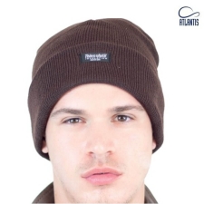 Normal Beanie (Pier Thinsulate 8043)